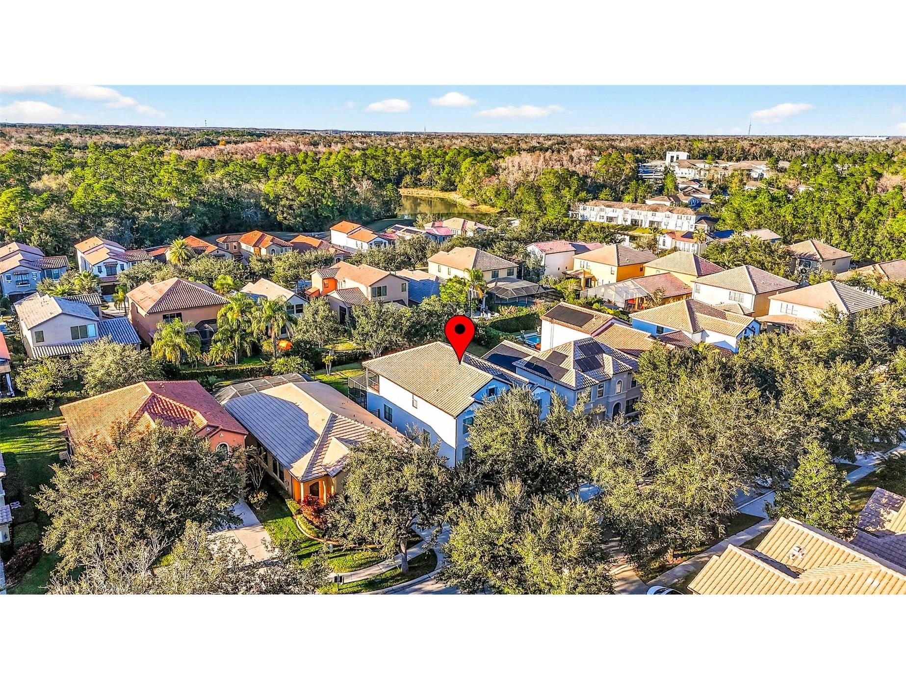 20308 Ash Grove Lane Tampa FL 33647 TB8465427 image68