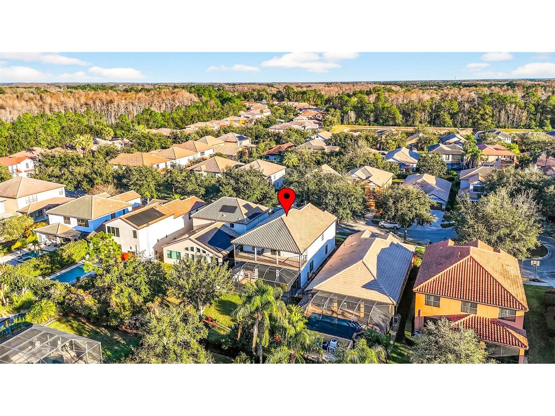 20308 Ash Grove Lane Tampa FL 33647 TB8465427 image69