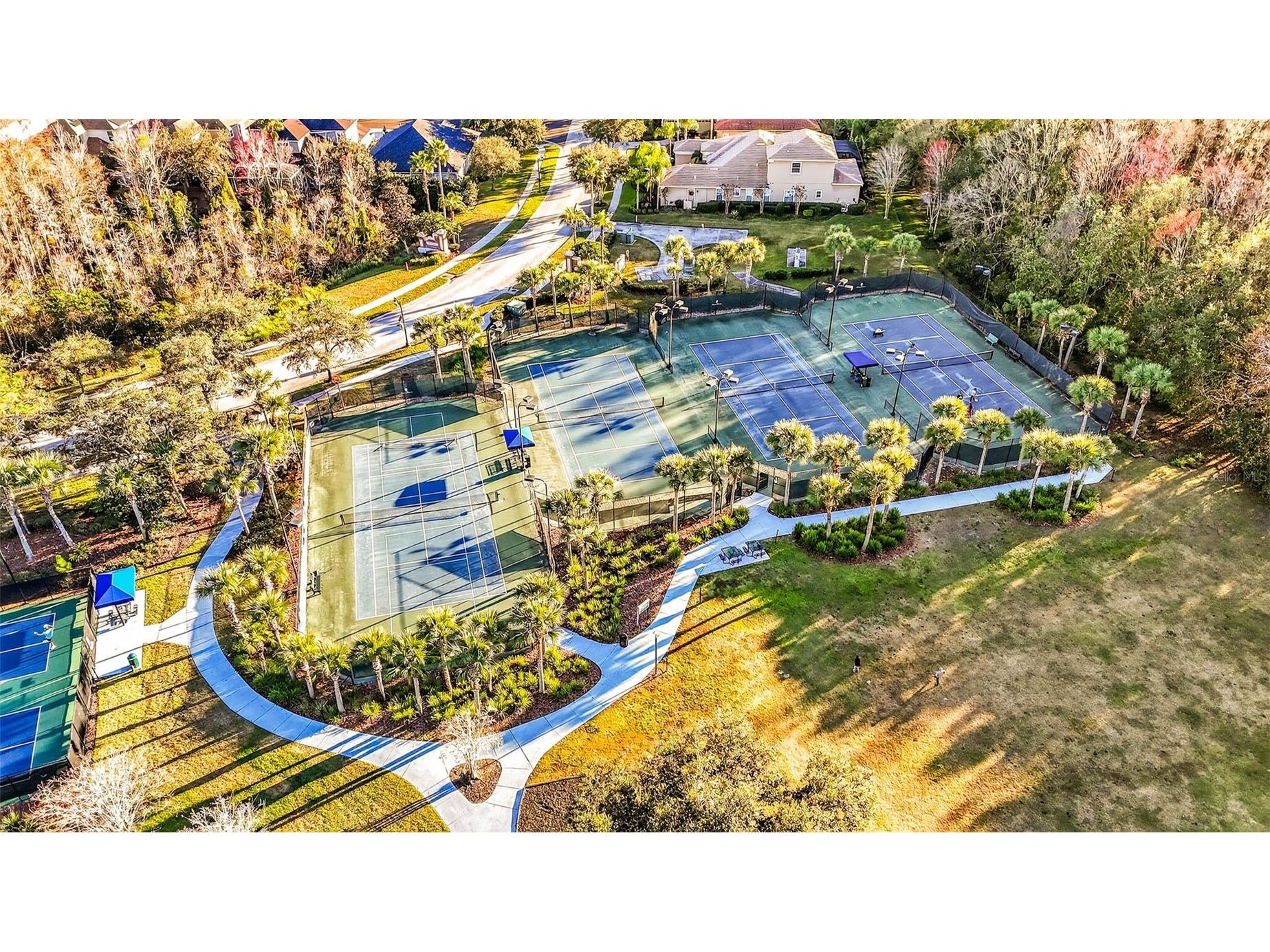 20308 Ash Grove Lane Tampa FL 33647 TB8465427 image76