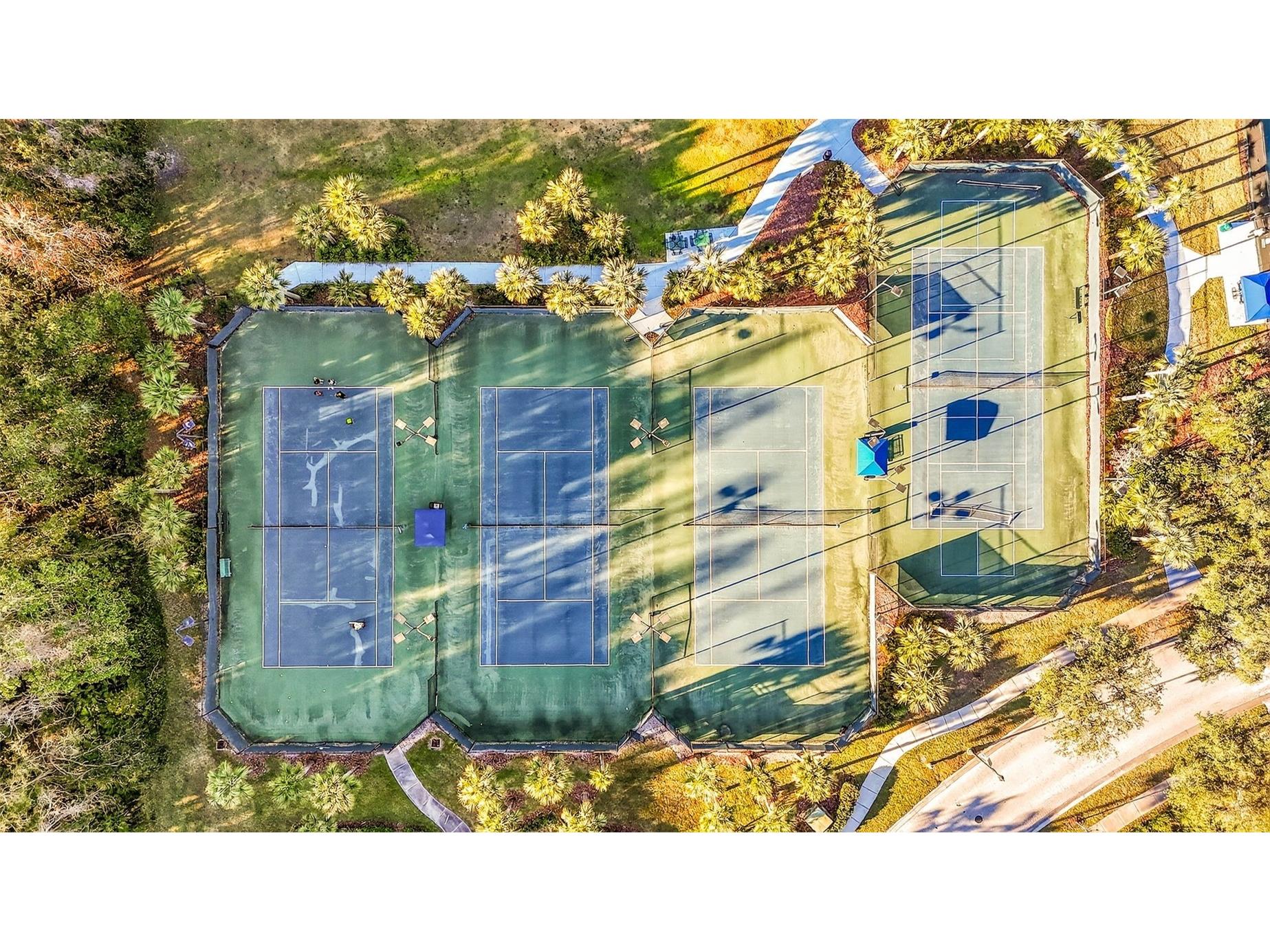 20308 Ash Grove Lane Tampa FL 33647 TB8465427 image77