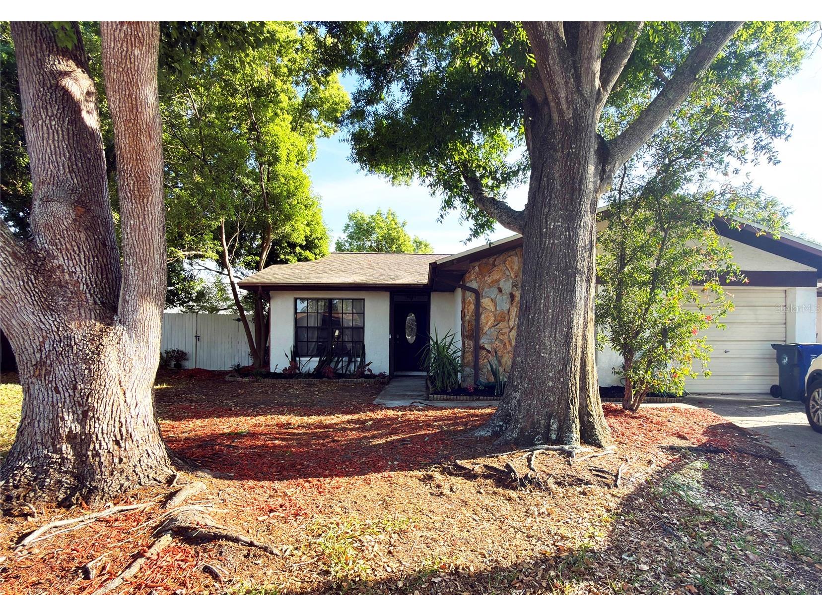 2031 Dover Court Oldsmar FL 34677 TB8500444 image21