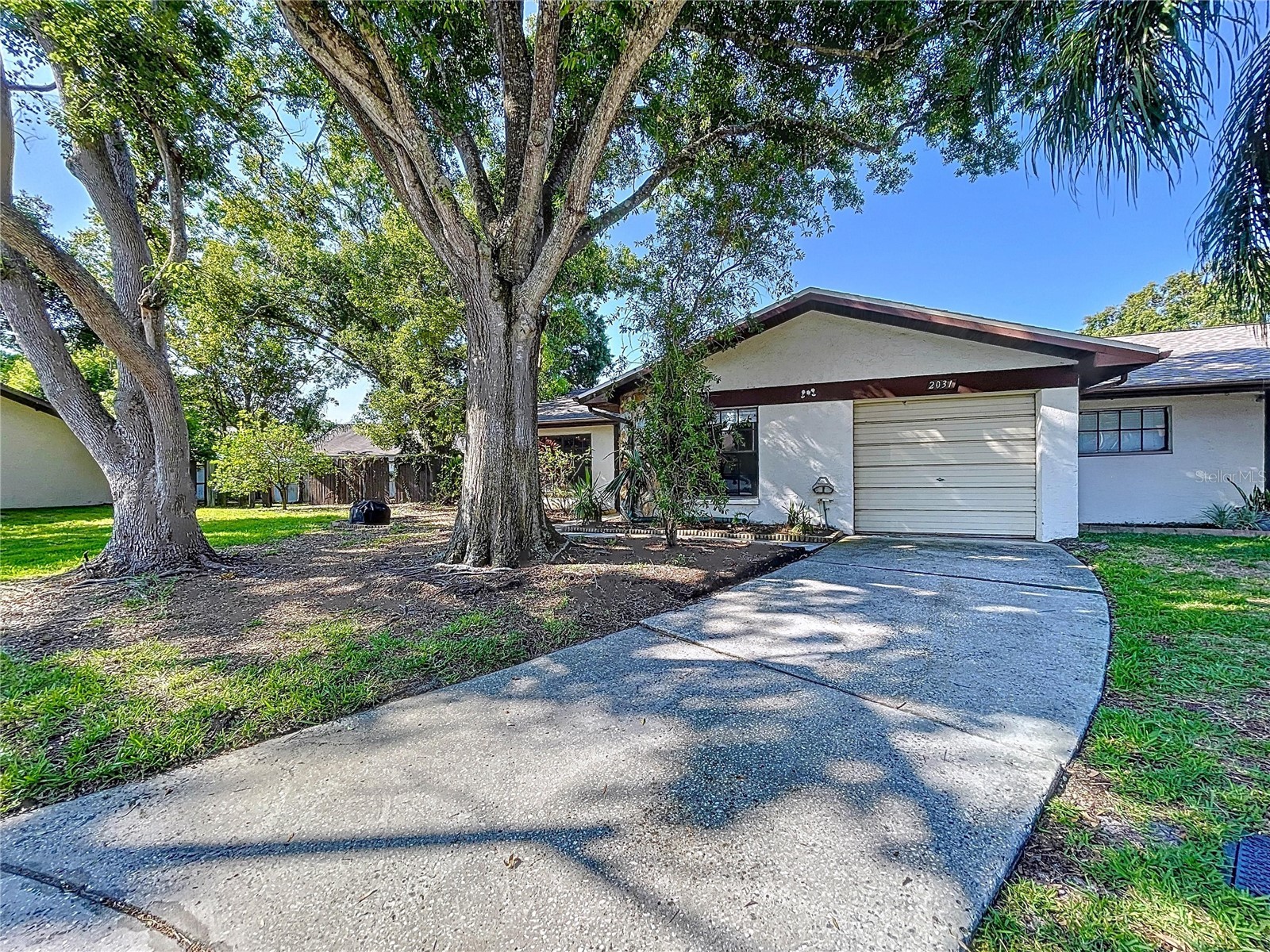 2031 Dover Court Oldsmar FL 34677 TB8500444 image22