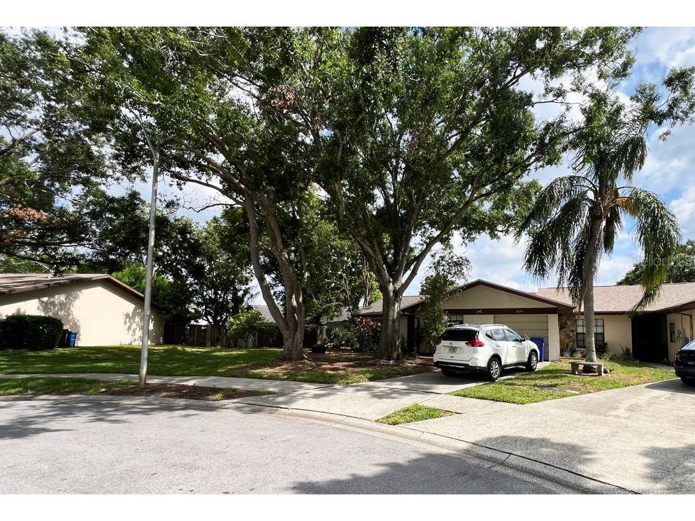 2031 Dover Court Oldsmar FL 34677 TB8500444 image27