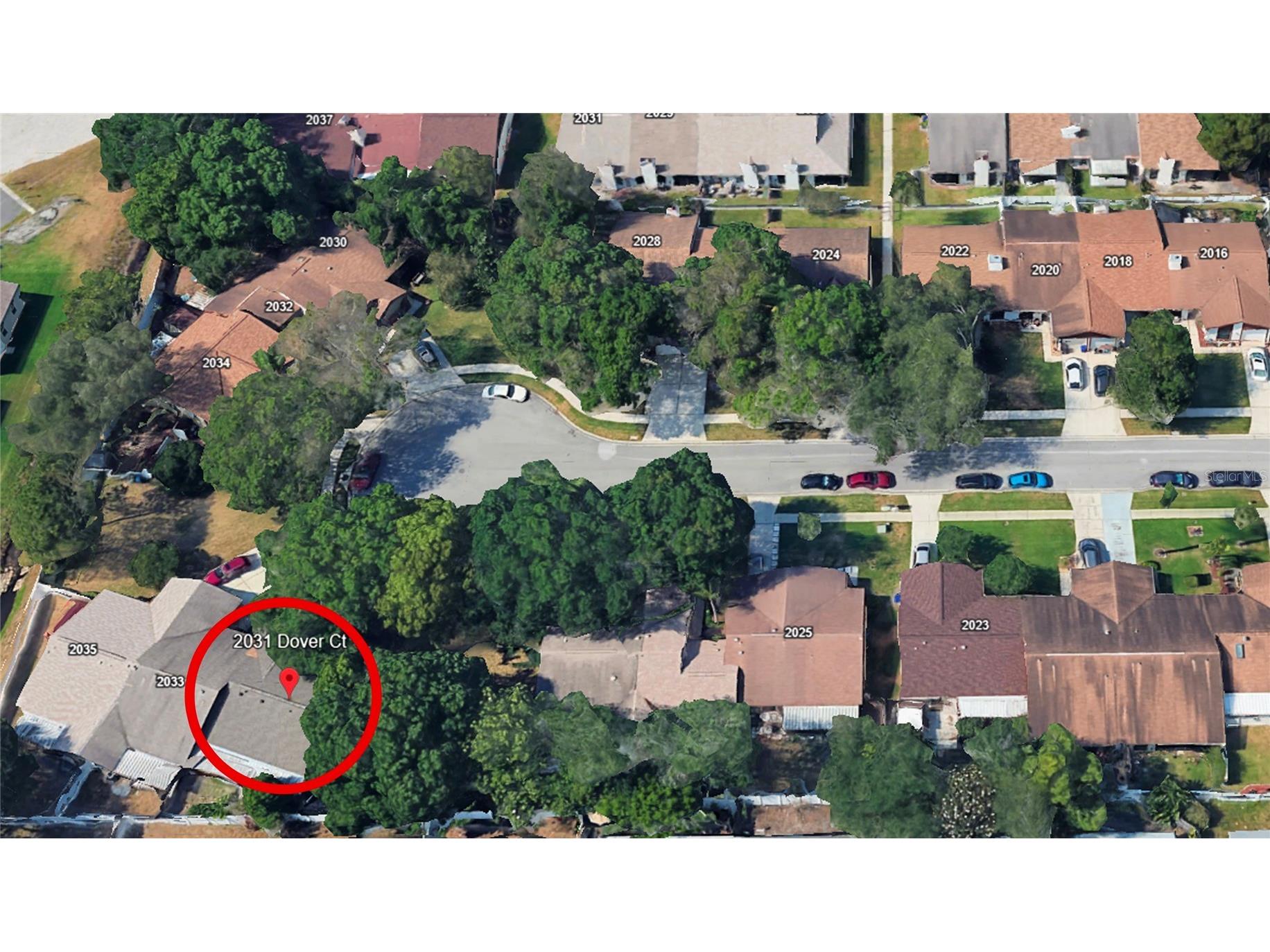 2031 Dover Court Oldsmar FL 34677 TB8500444 image28