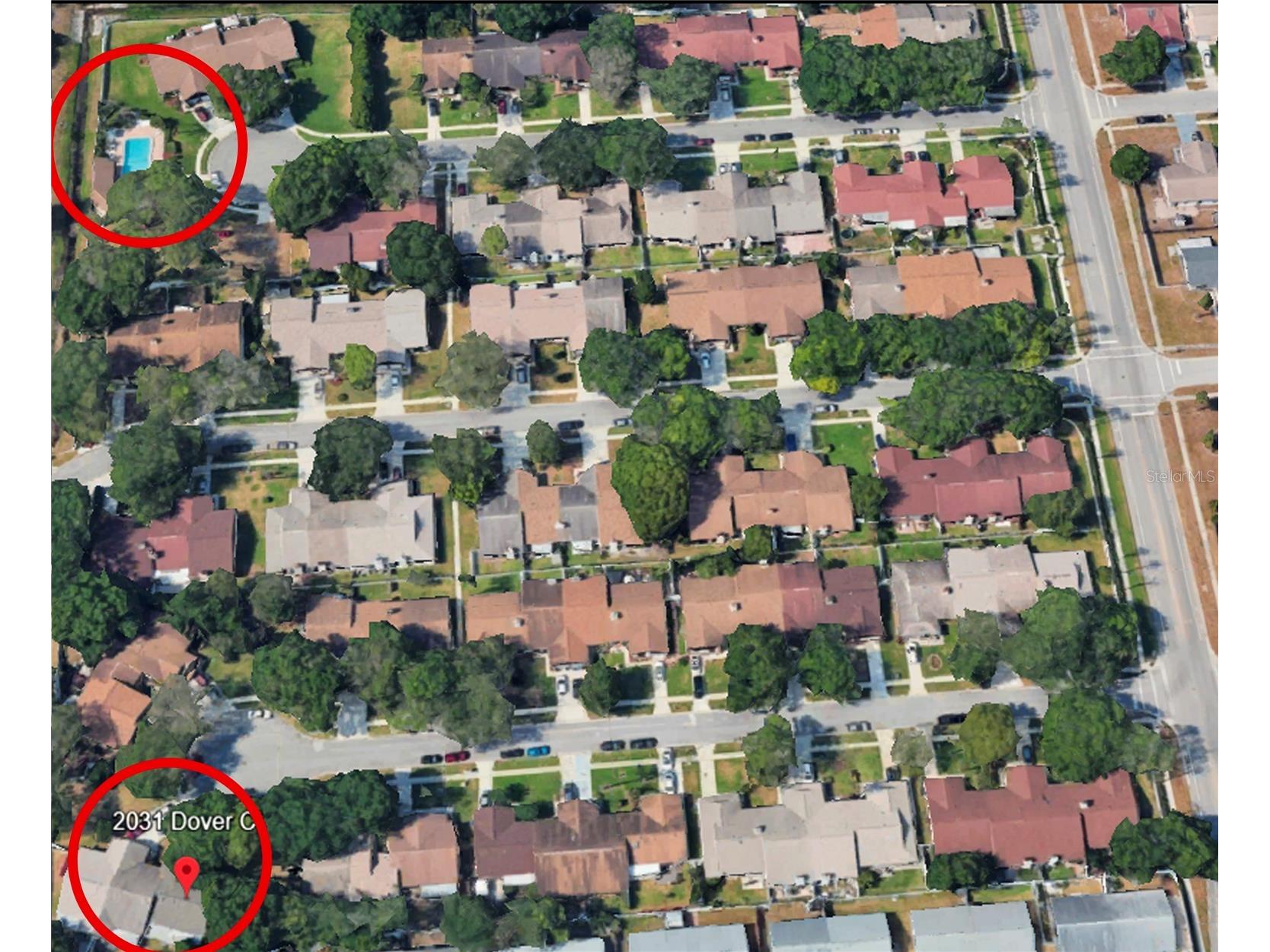 2031 Dover Court Oldsmar FL 34677 TB8500444 image29