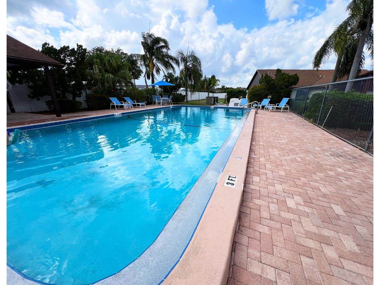 2031 Dover Court Oldsmar FL 34677 TB8500444 image32