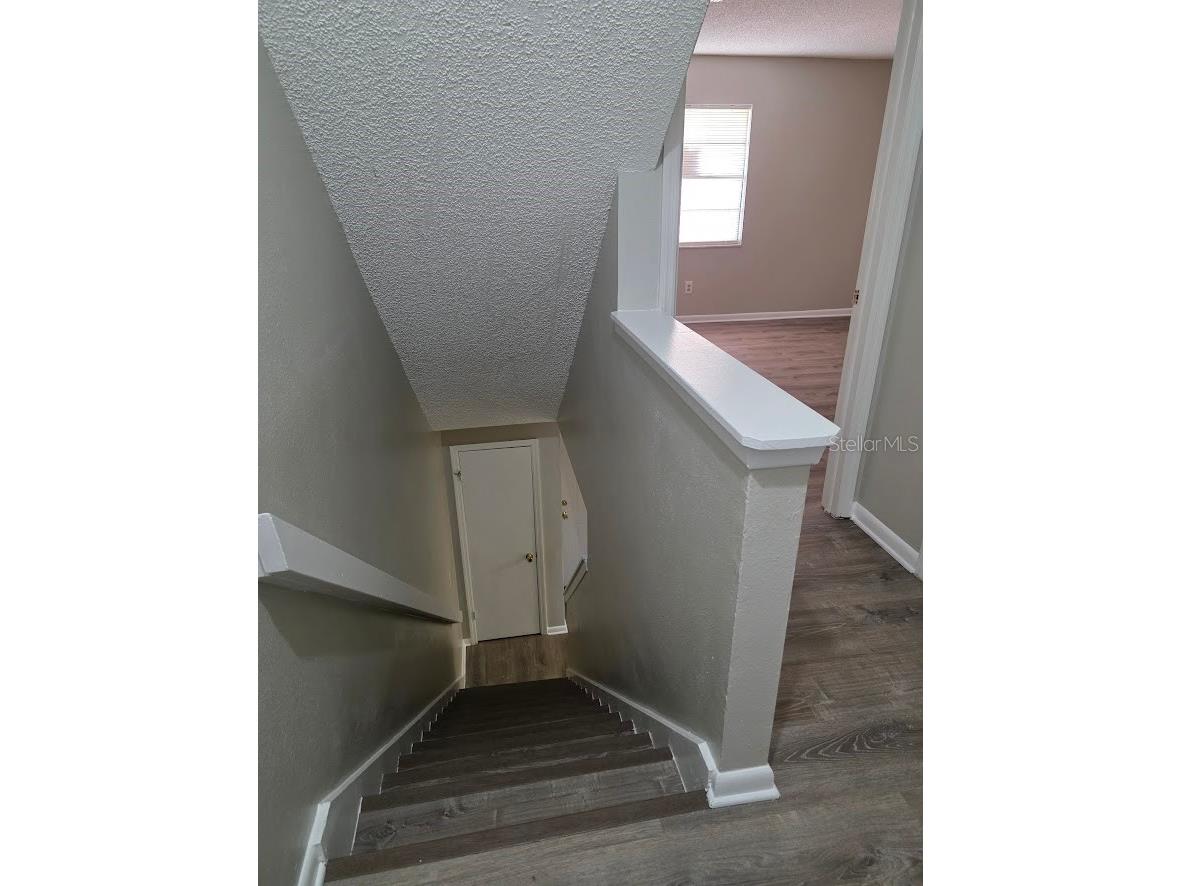 2031 Pine Chace Court Tampa FL 33613 TB8503023 image14