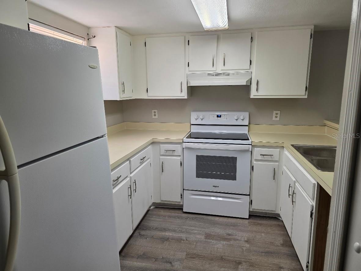 2031 Pine Chace Court Tampa FL 33613 TB8503023 image3