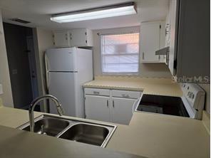 2031 Pine Chace Court Tampa FL 33613 TB8532444 image4