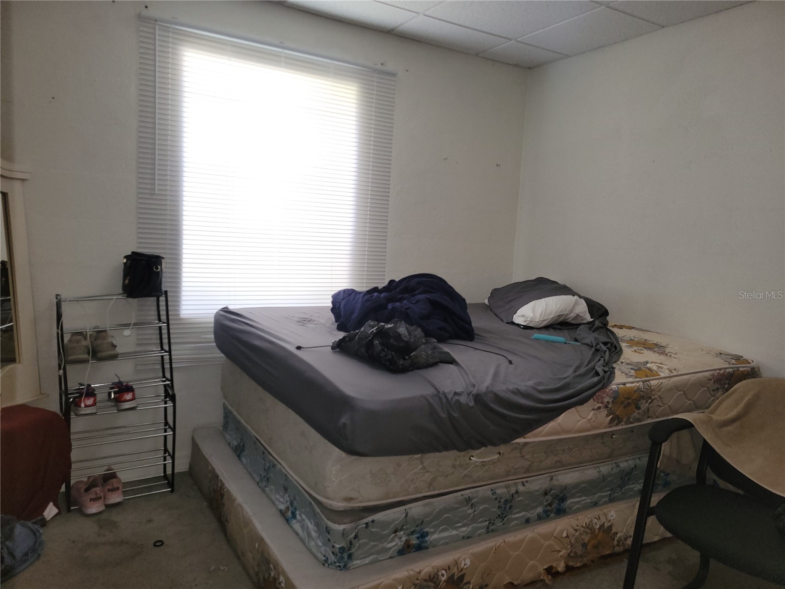 2031 Poe Street Lakeland FL 33801 P4936329 image24