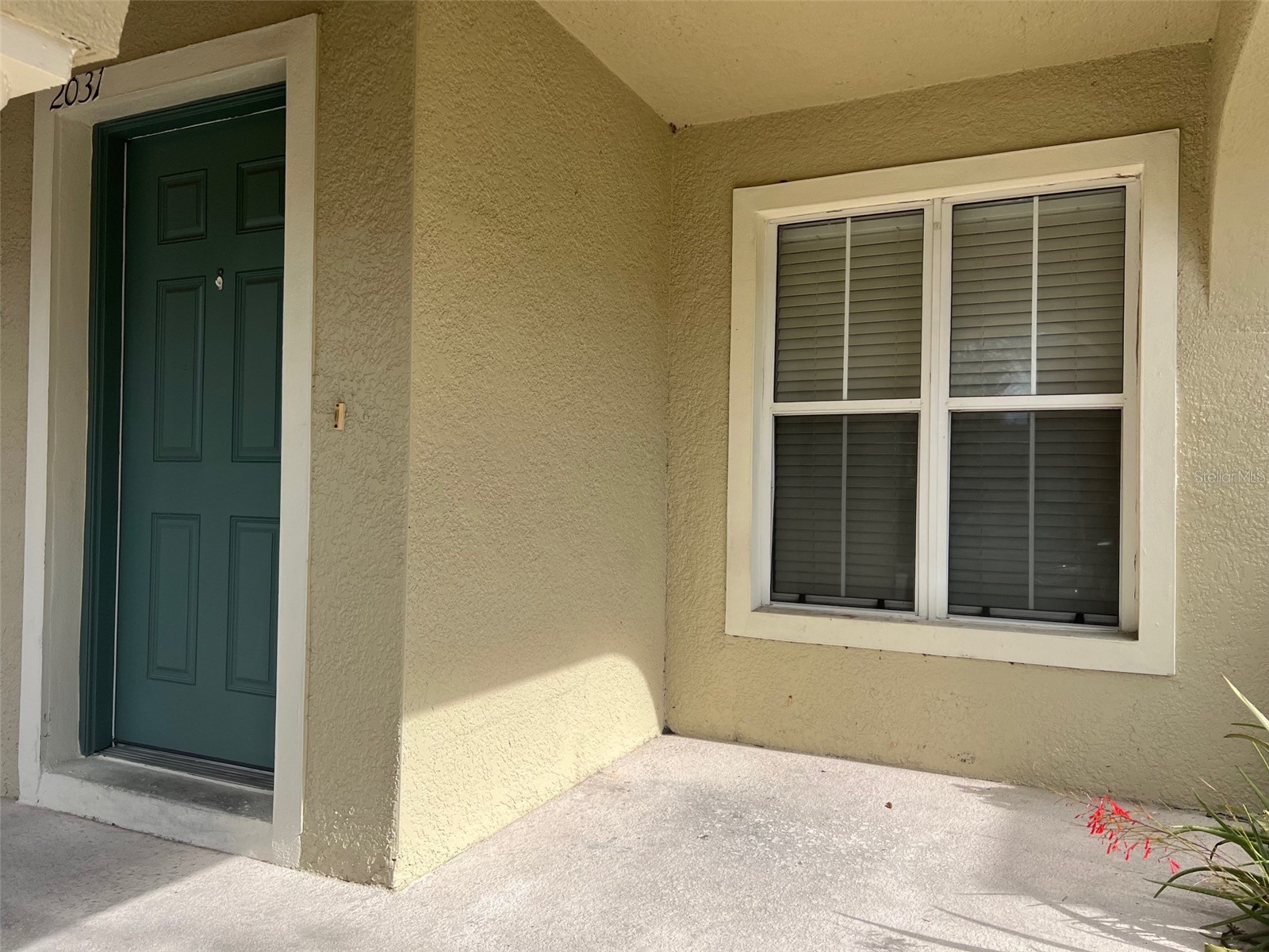 2031 Searay Shore Drive Clearwater FL 33763 TB8459961 image2