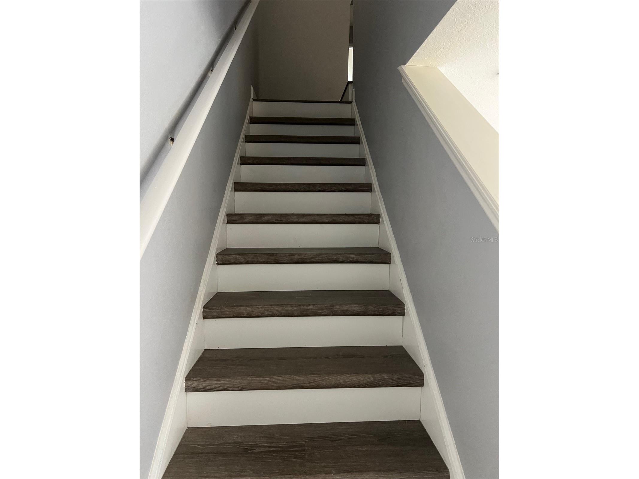 2031 Searay Shore Drive Clearwater FL 33763 TB8459961 image6