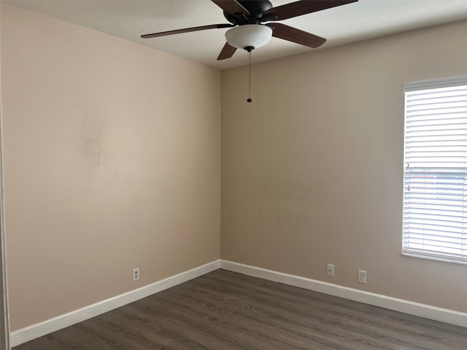 2031 Searay Shore Drive Clearwater FL 33763 TB8459961 image9