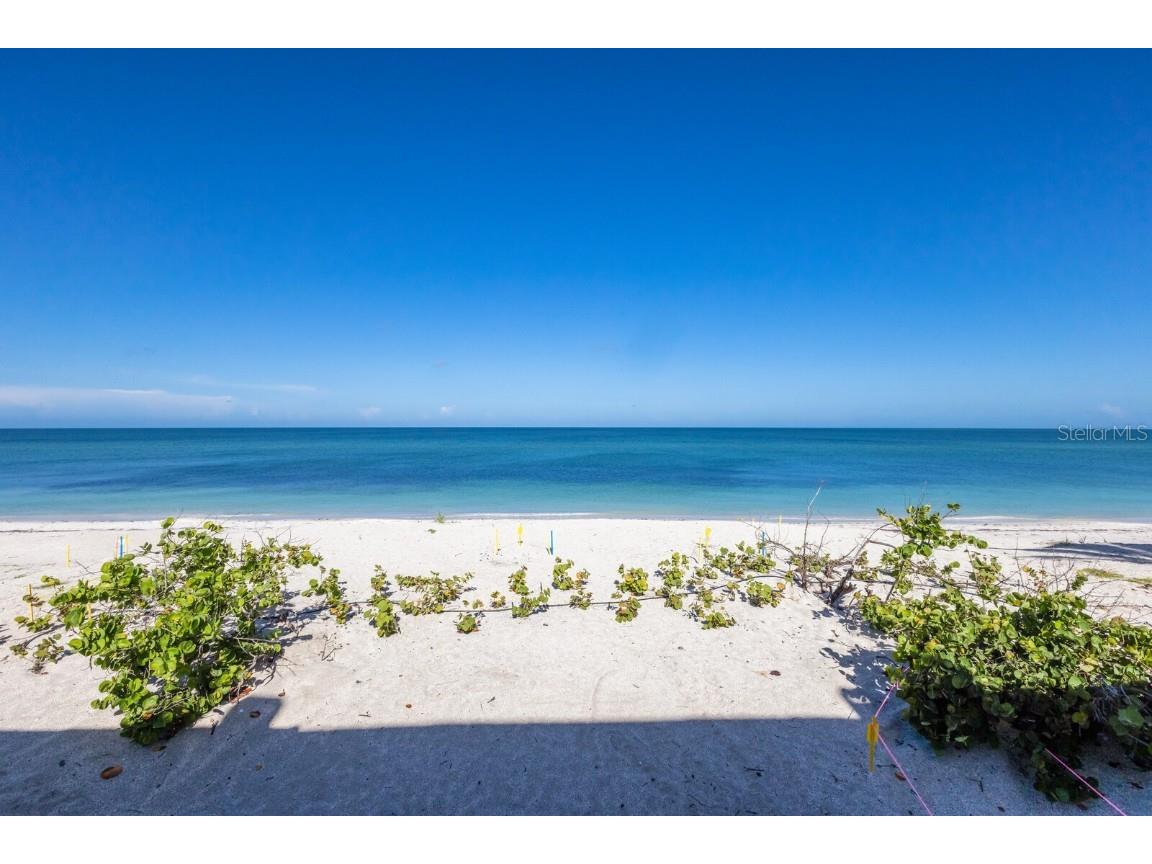 2031 Shore Lane Boca Grande FL 33921 - GULF OF MEXICO D6139748 image83