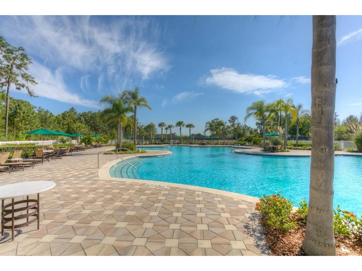 20312 Noble Oak Place Tampa FL 33647 TB8427862 image47