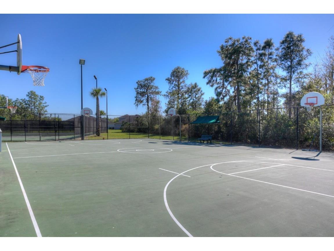 20312 Noble Oak Place Tampa FL 33647 TB8427862 image51