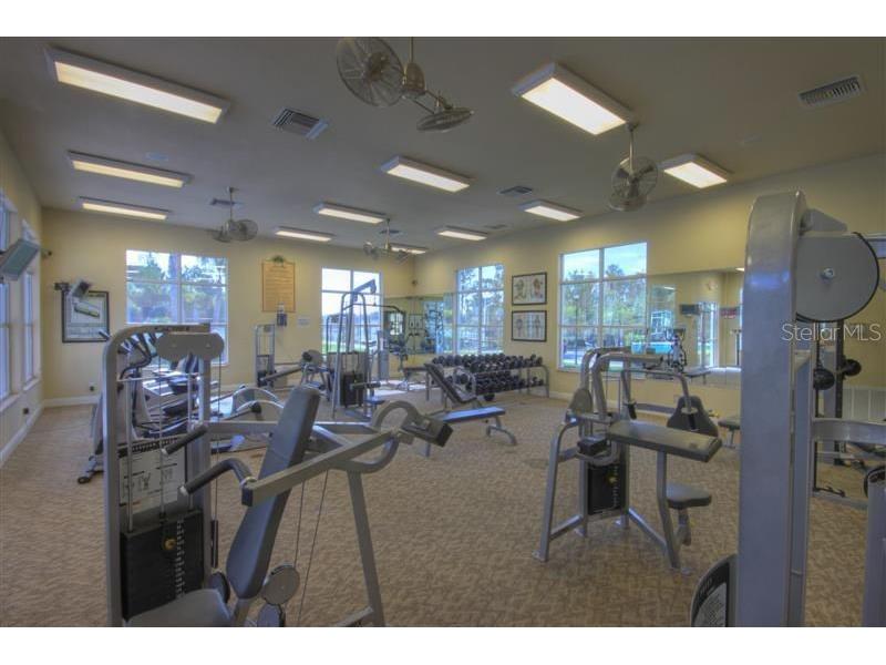 20312 Noble Oak Place Tampa FL 33647 TB8427862 image53