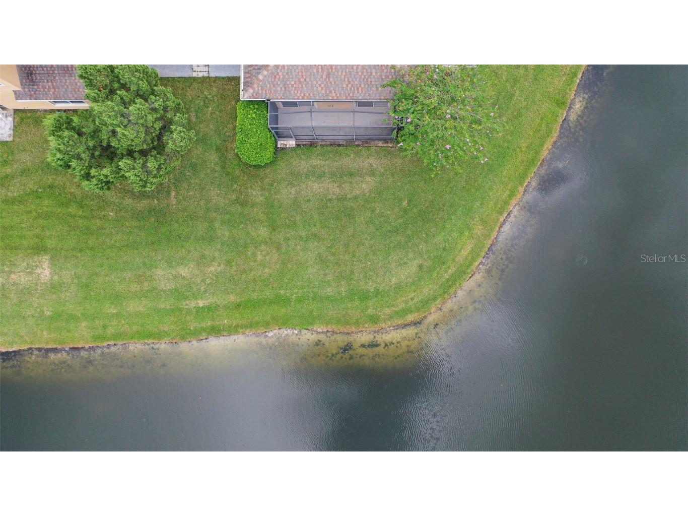 20312 Noble Oak Place Tampa FL 33647 TB8427862 image56