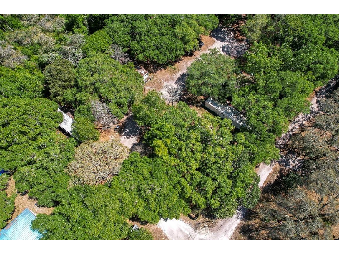 20312 Old Somerset Acres Lane Spring Hill FL 34610 T3435101 image1