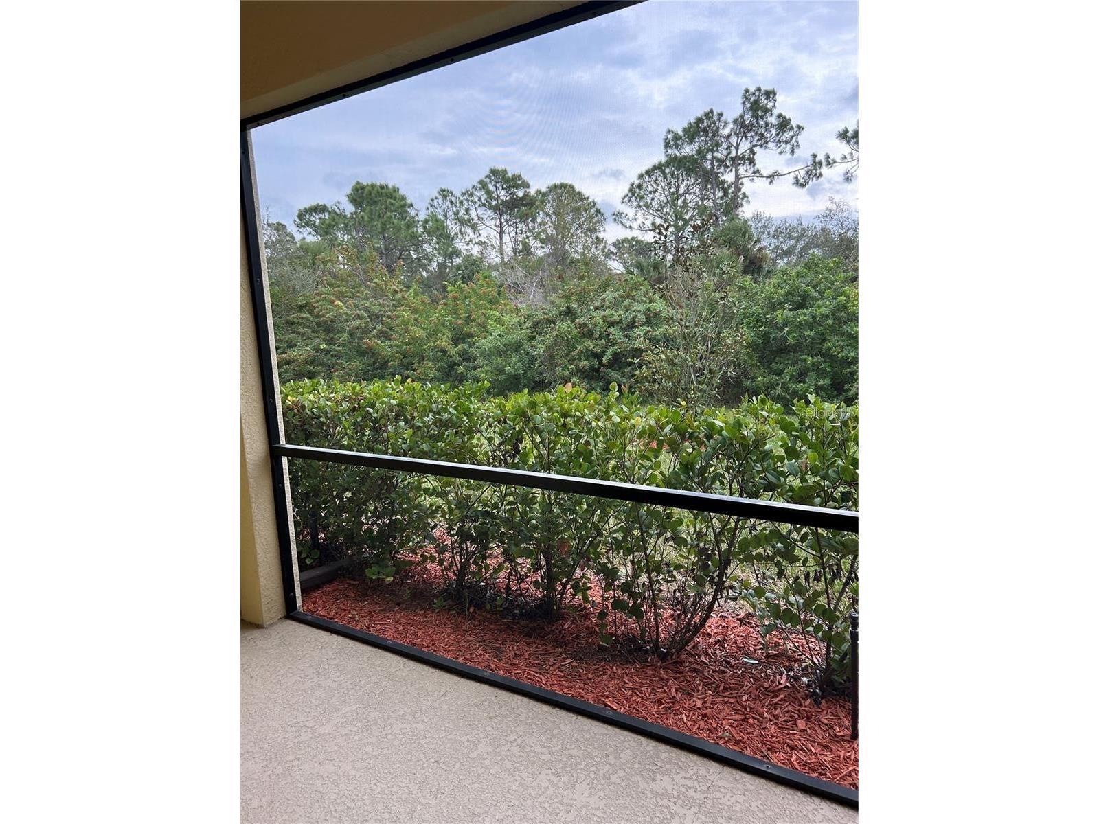 20314 Lagente Circle Venice FL 34293 A4696481 image16