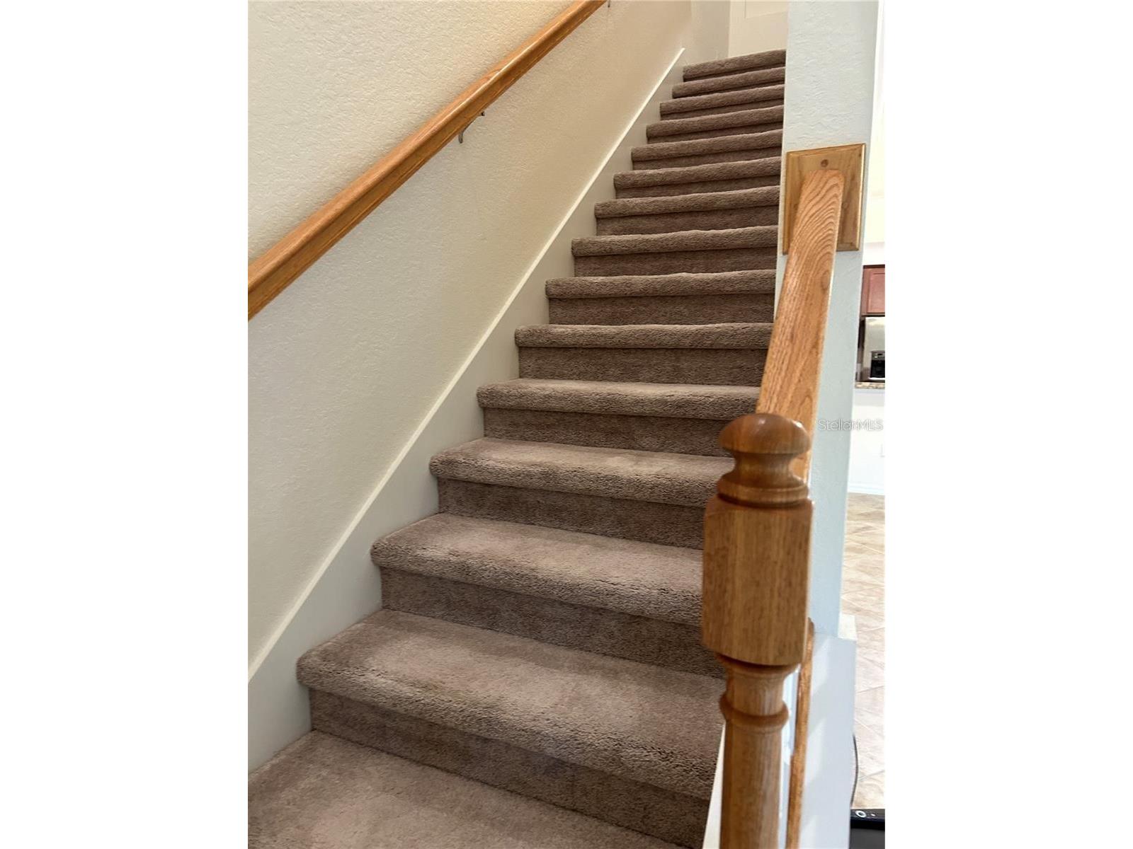 20314 Lagente Circle Venice FL 34293 A4696481 image18