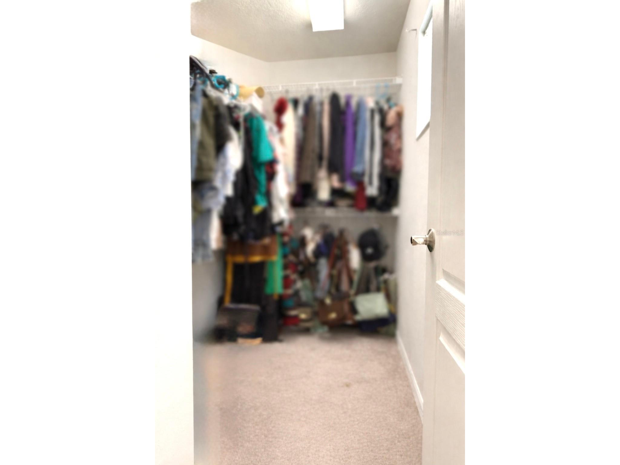 20314 Noble Oak Place Tampa FL 33647 TB8512316 image20