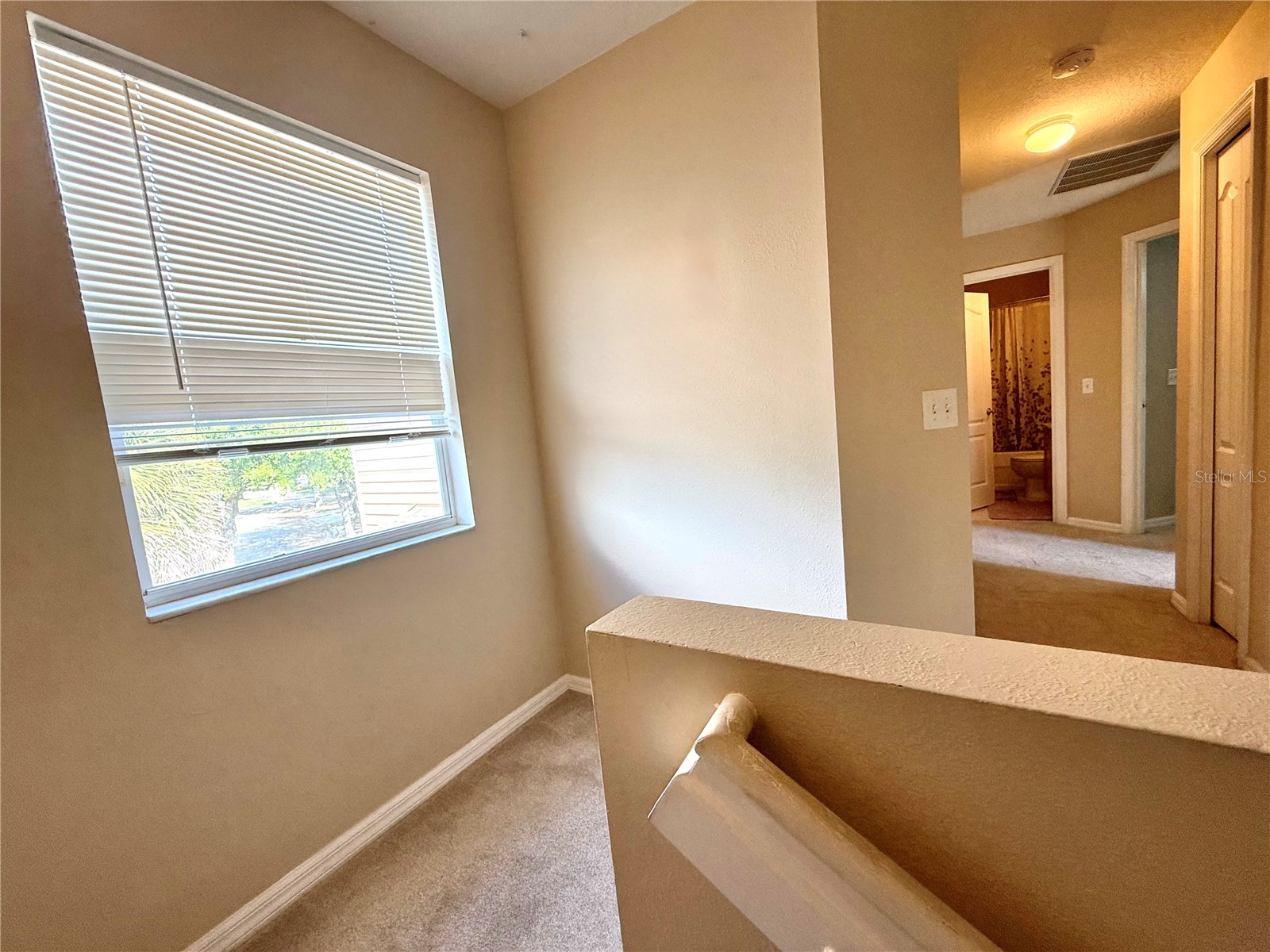 20314 Noble Oak Place Tampa FL 33647 TB8512316 image9
