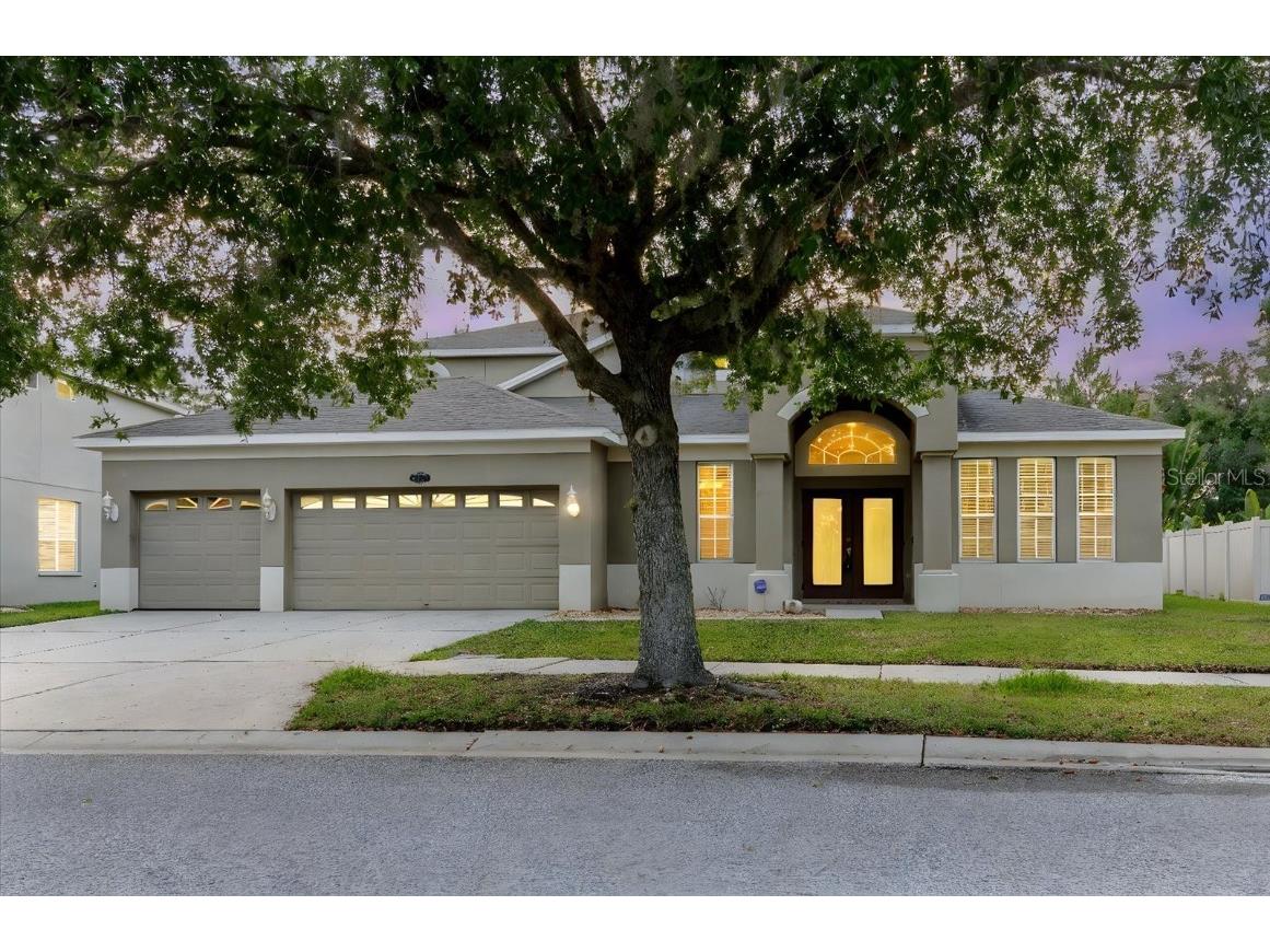 20316 Natures Corner Drive Tampa FL 33647 A4651731 image1