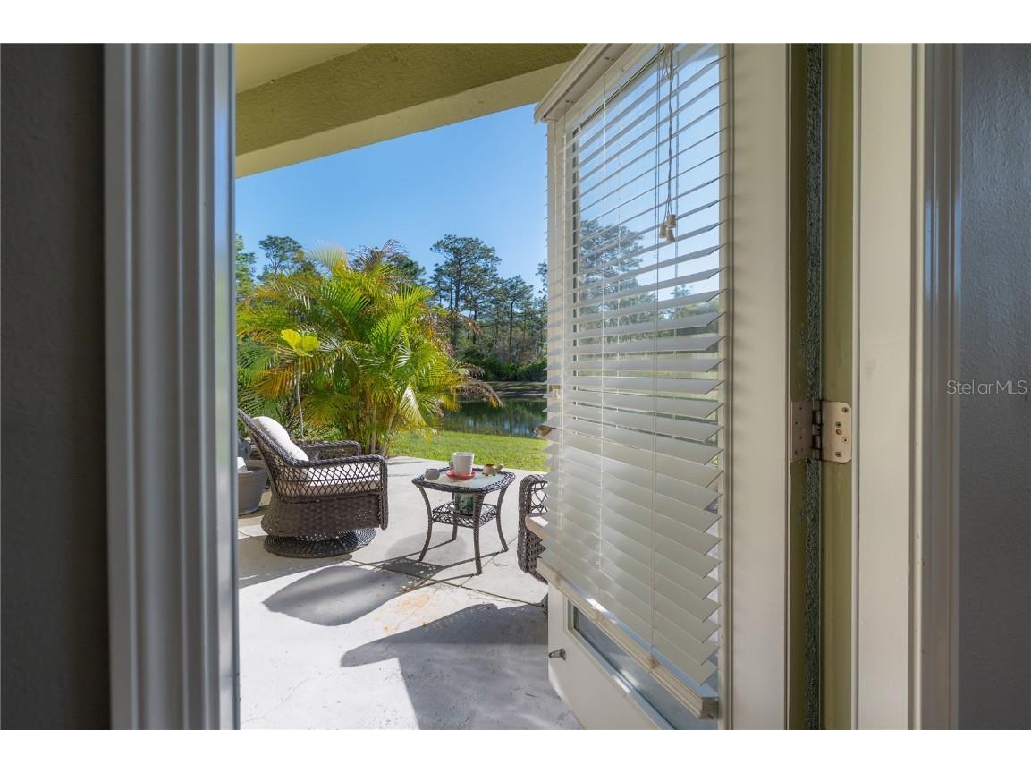 20319 Starfinder Way Tampa FL 33647 TB8360235 image18