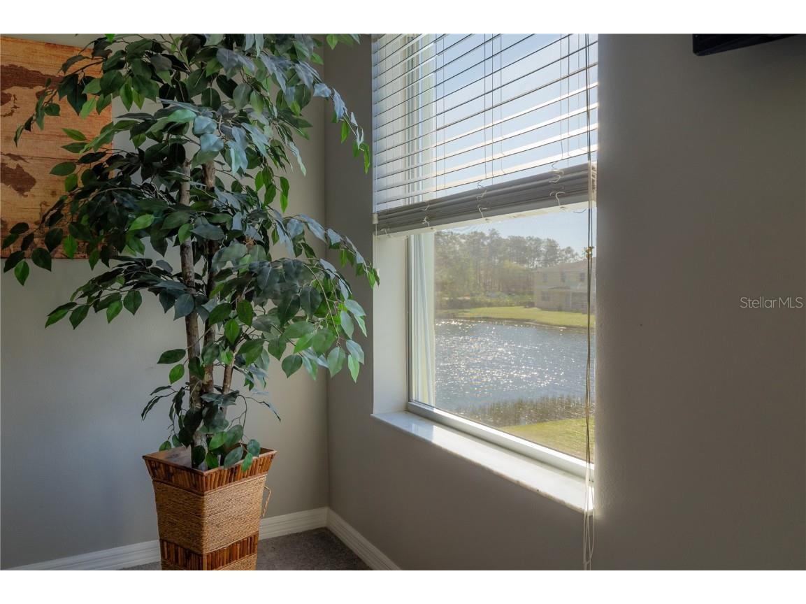 20319 Starfinder Way Tampa FL 33647 TB8360235 image33