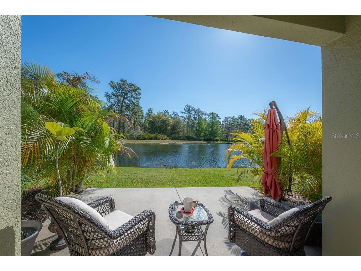 20319 Starfinder Way Tampa FL 33647 TB8360235 image46