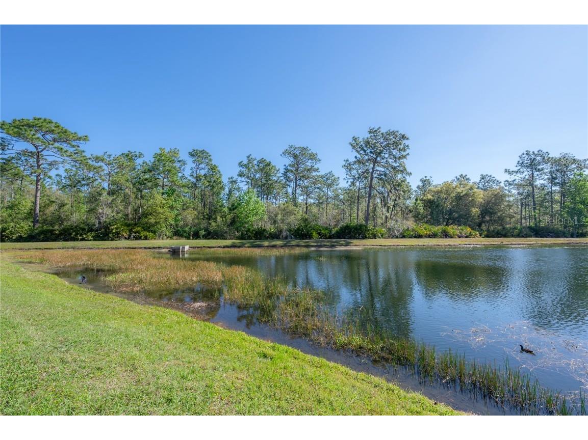 20319 Starfinder Way Tampa FL 33647 TB8360235 image47