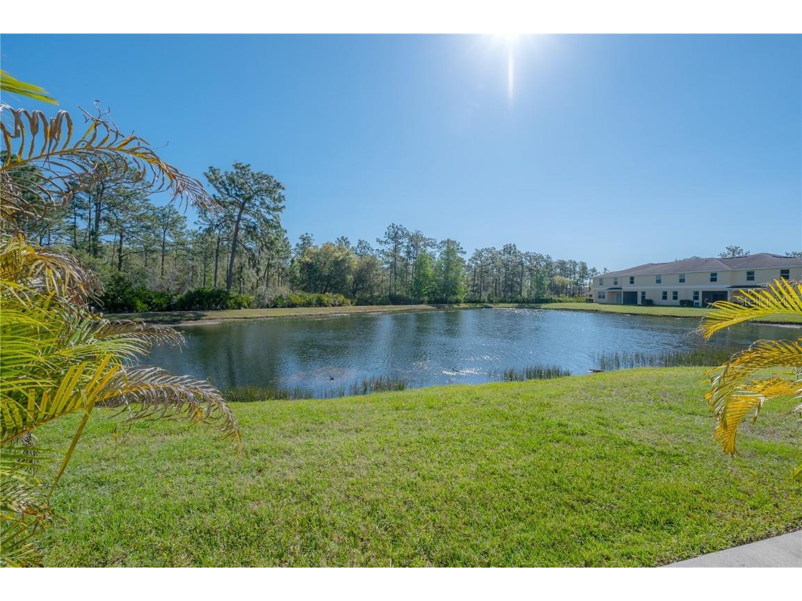 20319 Starfinder Way Tampa FL 33647 TB8360235 image52