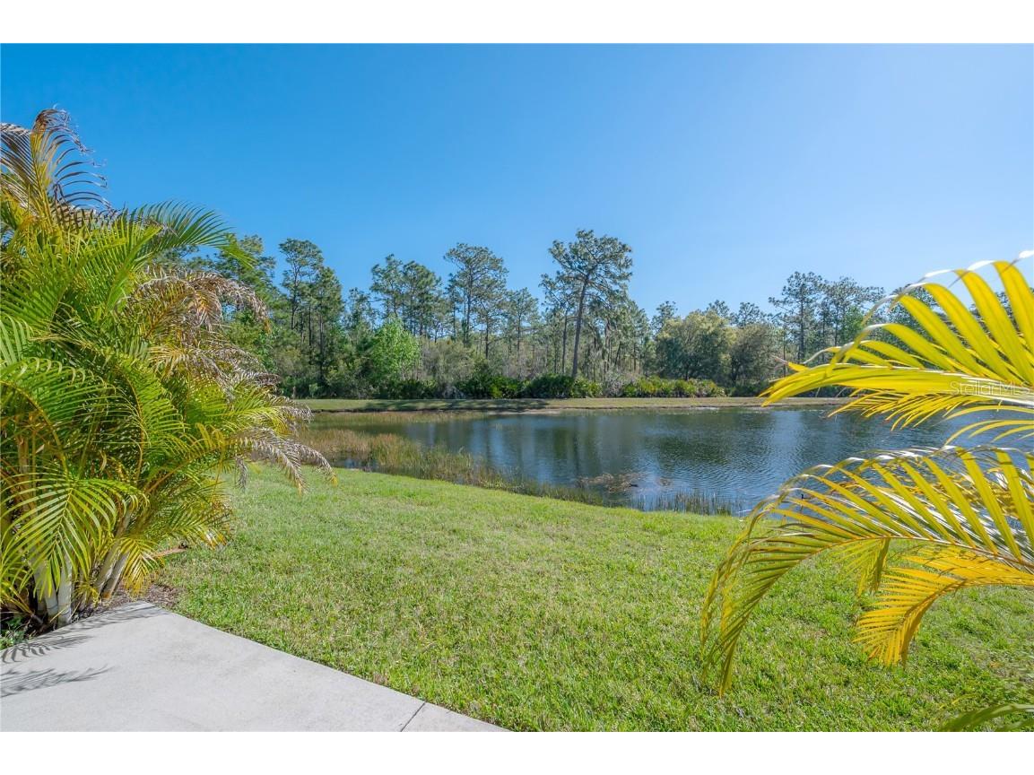 20319 Starfinder Way Tampa FL 33647 TB8360235 image53