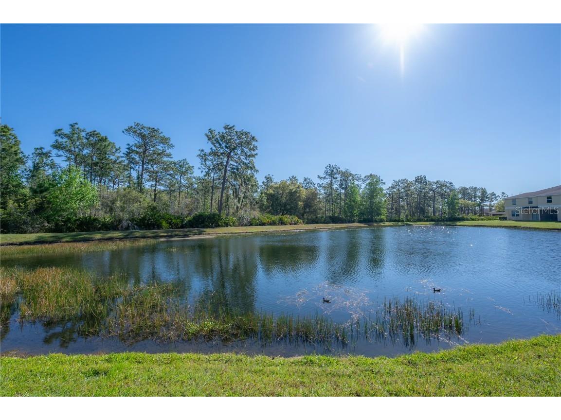 20319 Starfinder Way Tampa FL 33647 TB8360235 image54