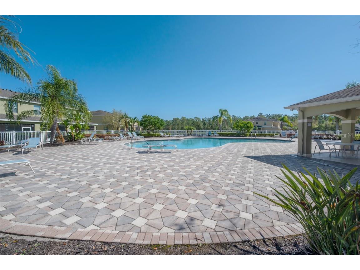 20319 Starfinder Way Tampa FL 33647 TB8360235 image58