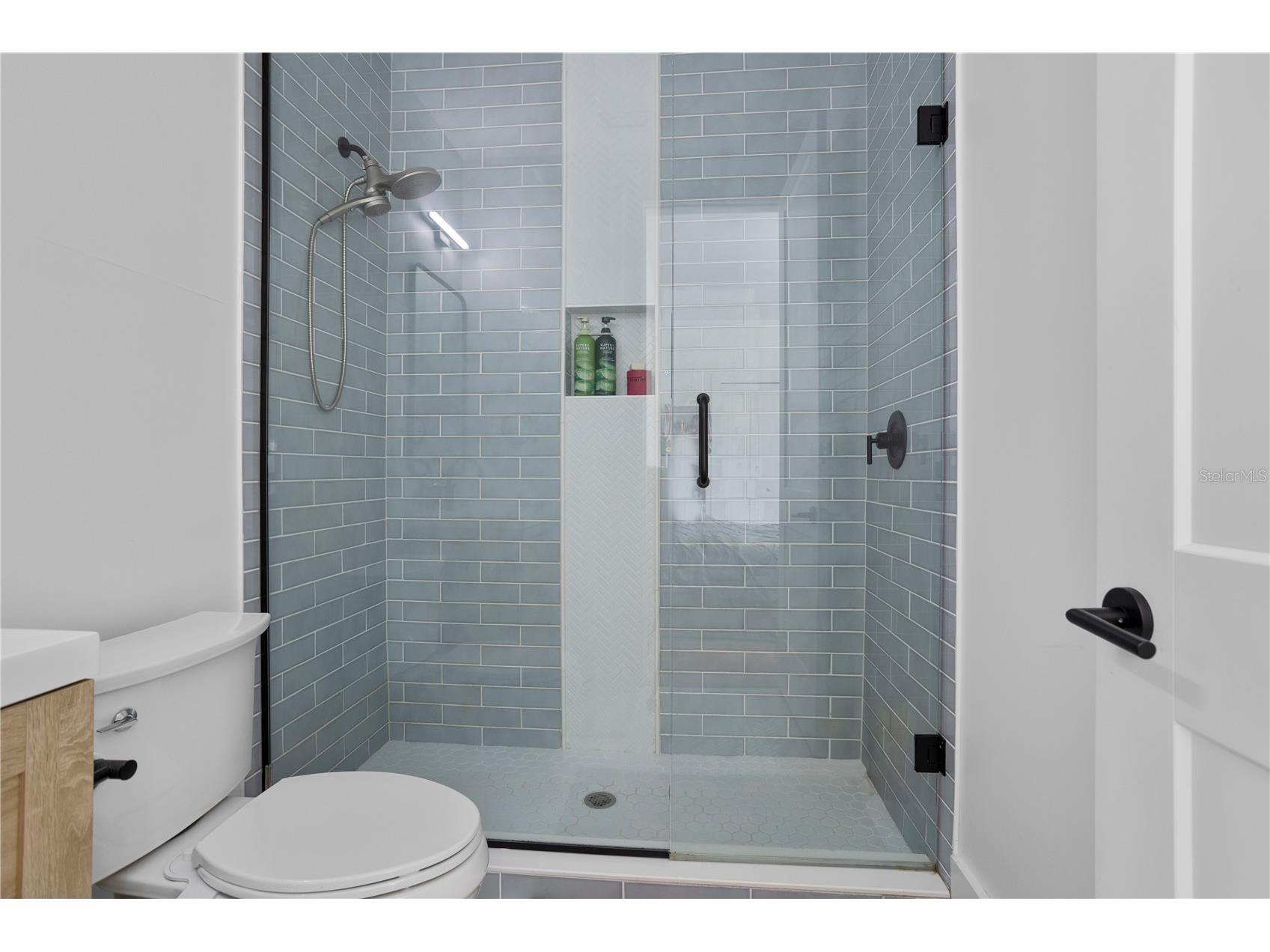 2032 Kimbrace Place Winter Park FL 32792 O6414862 image66