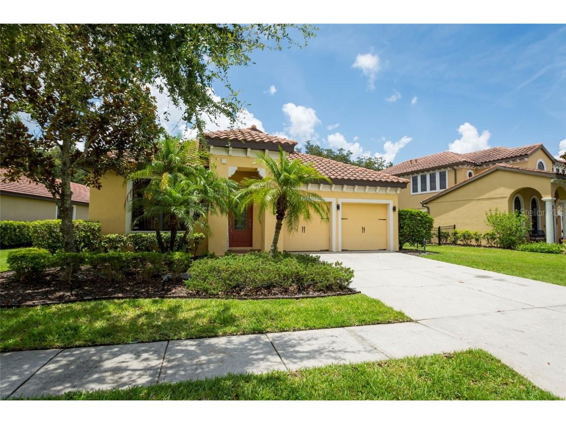 20322 Chestnut Grove Drive Tampa FL 33647 T3459224 image1