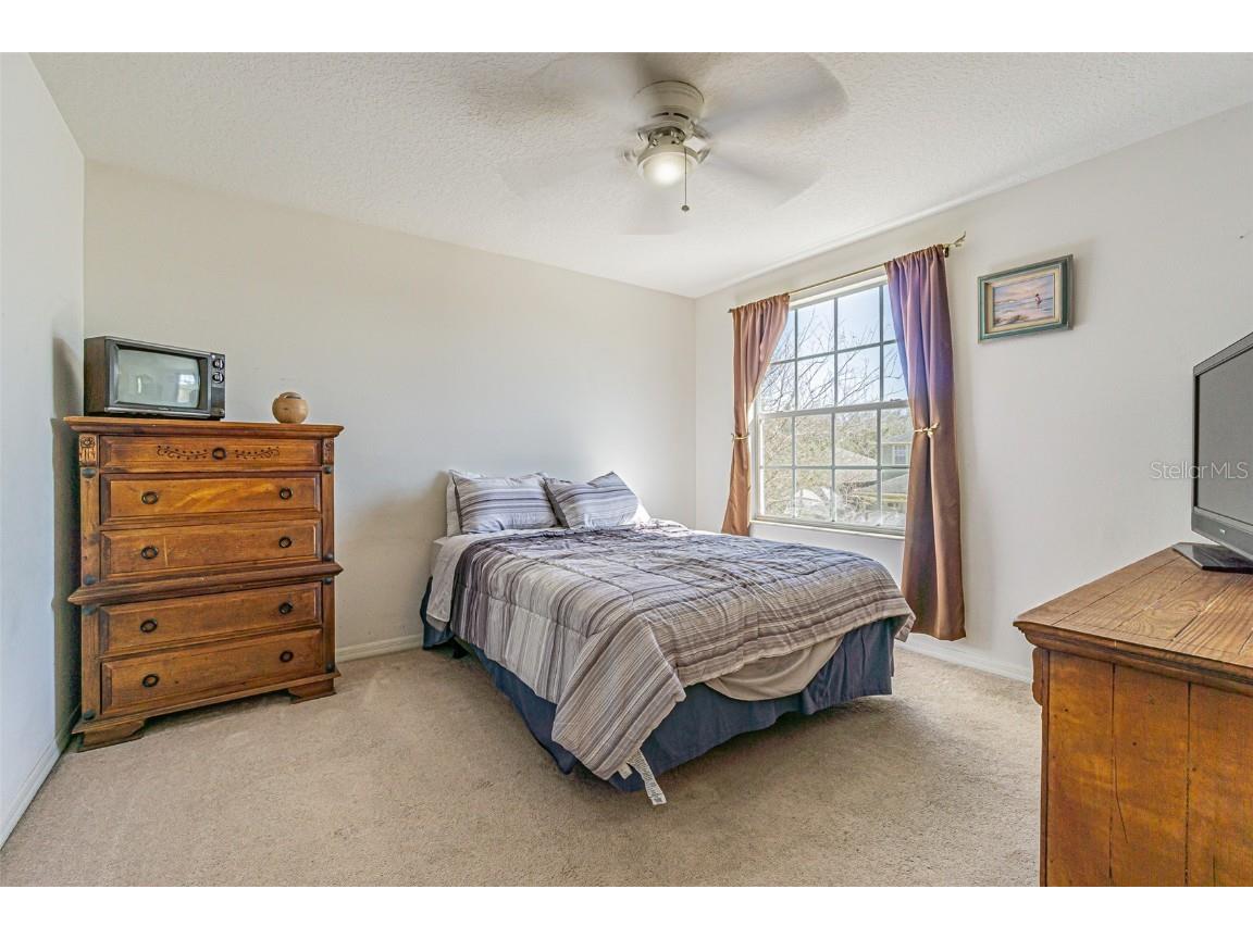 20326 Merry Oak Avenue Tampa FL 33647 TB8352446 image21