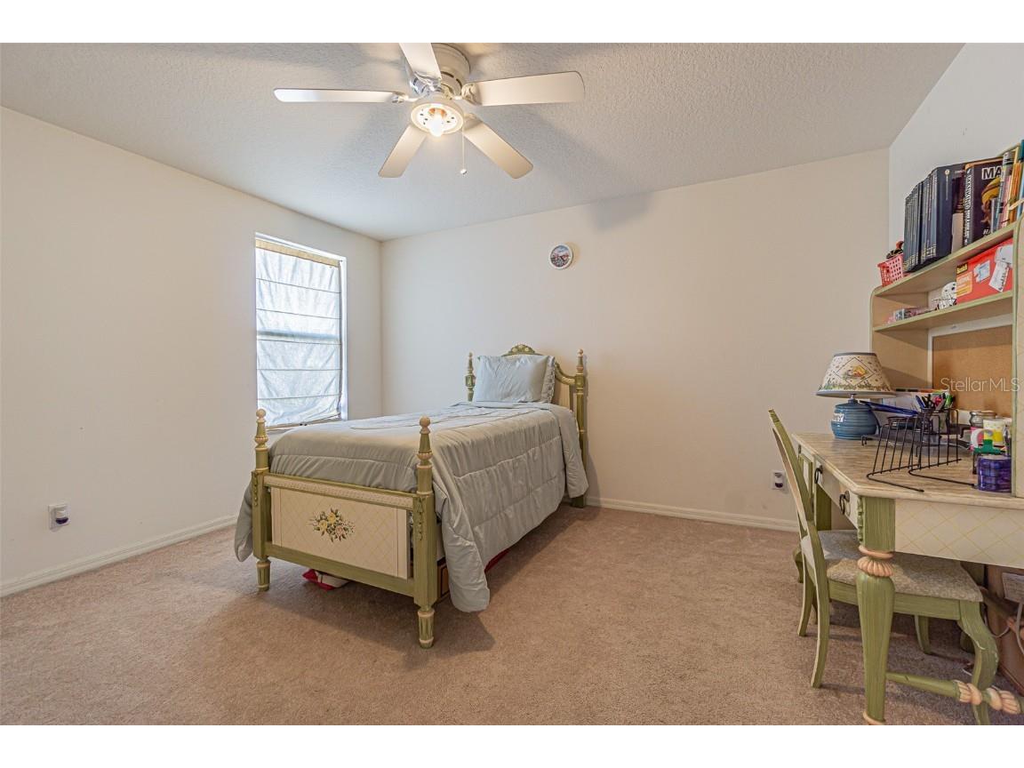 20326 Merry Oak Avenue Tampa FL 33647 TB8352446 image22