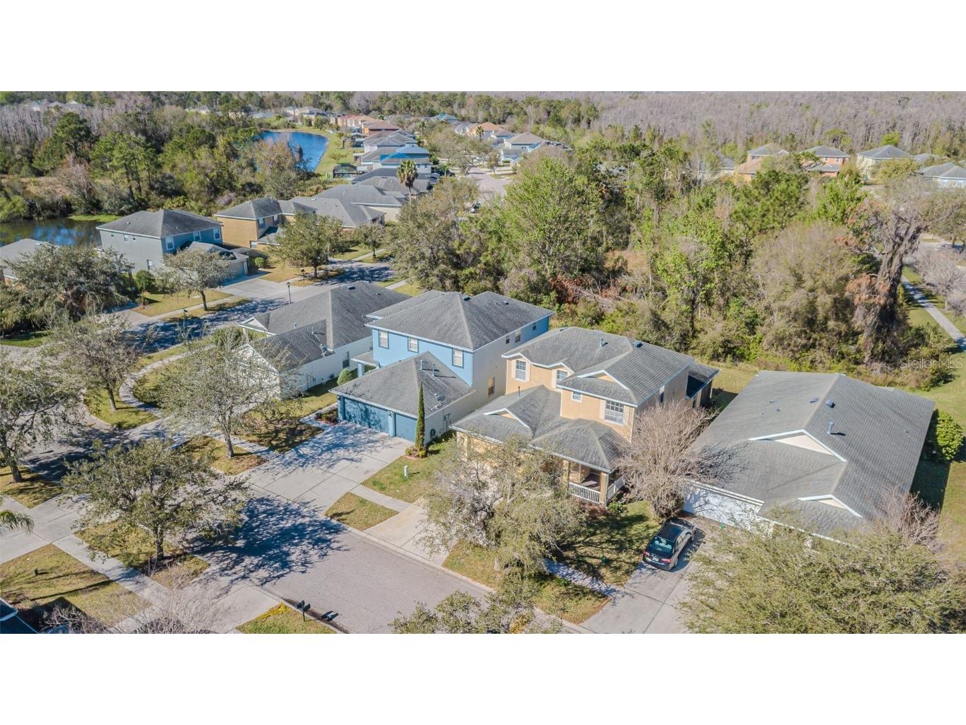 20326 Merry Oak Avenue Tampa FL 33647 TB8352446 image37