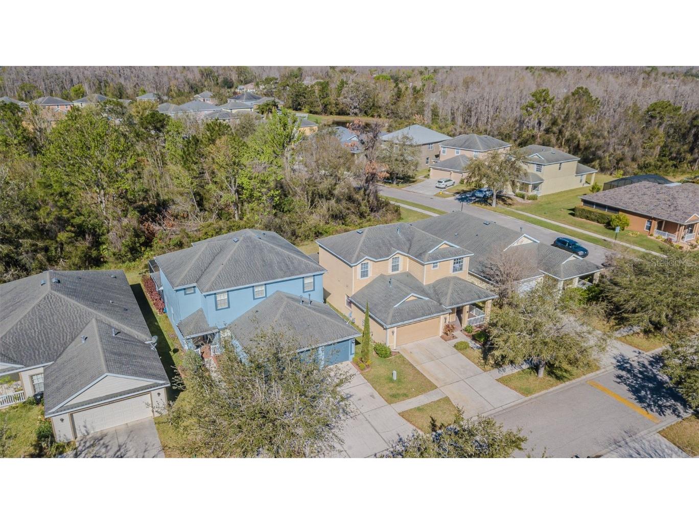 20326 Merry Oak Avenue Tampa FL 33647 TB8352446 image38