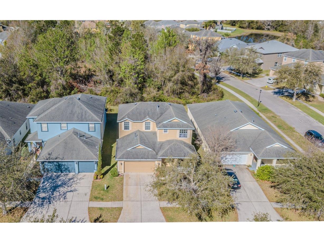 20326 Merry Oak Avenue Tampa FL 33647 TB8352446 image5