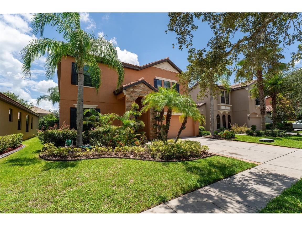20327 Heritage Point Drive Tampa FL 33647 T3544966 image1