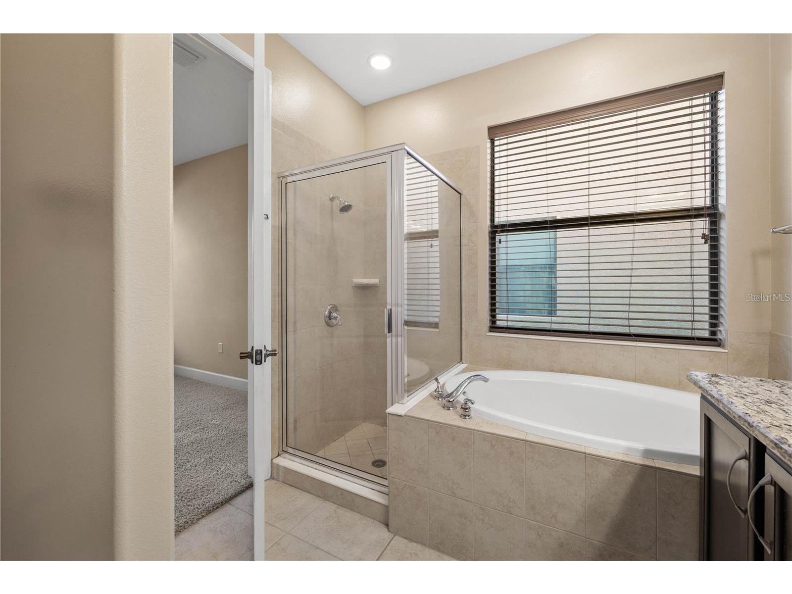 20329 Hertiage Point Tampa FL 33647 TB8510234 image13