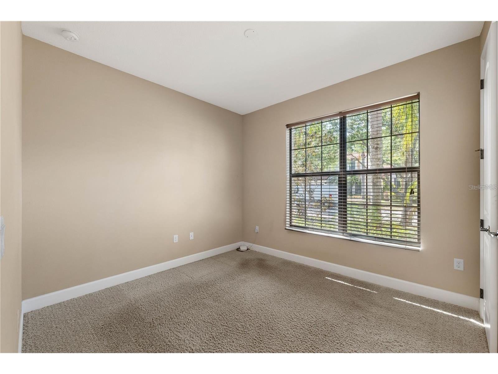 20329 Hertiage Point Tampa FL 33647 TB8510234 image5