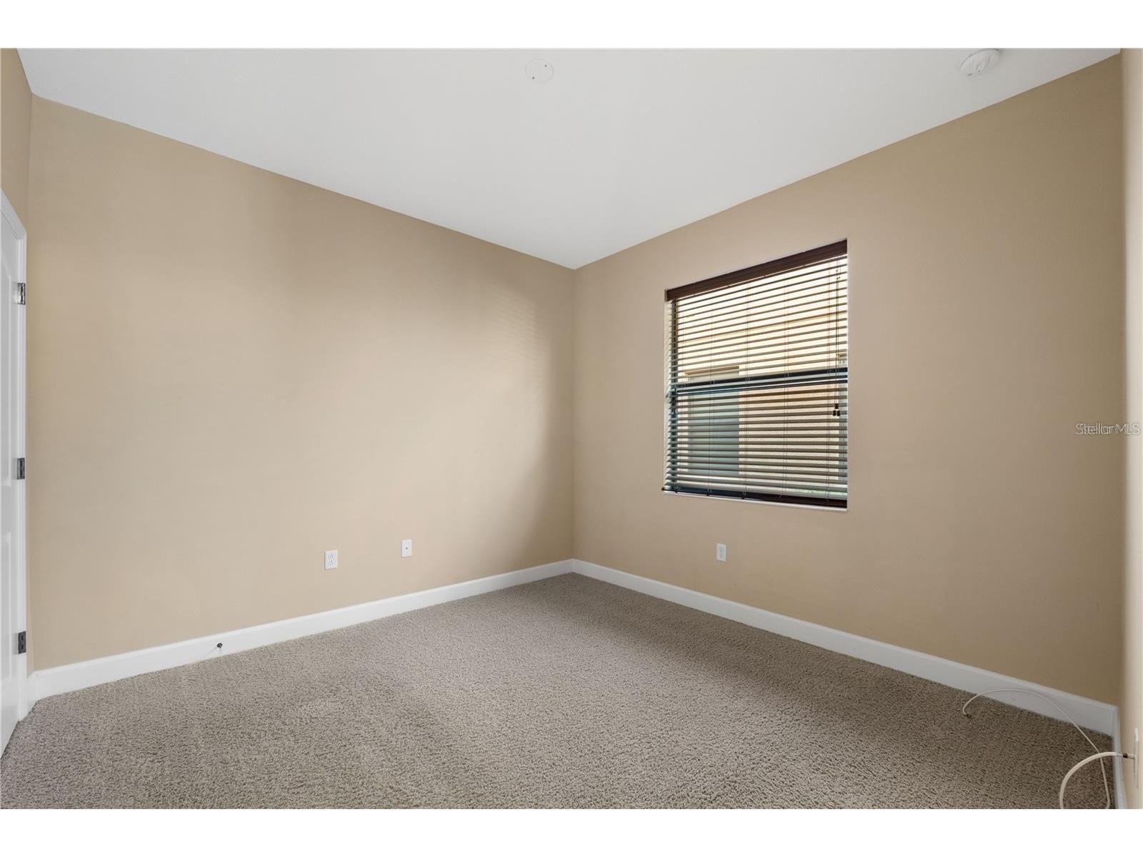 20329 Hertiage Point Tampa FL 33647 TB8510234 image6