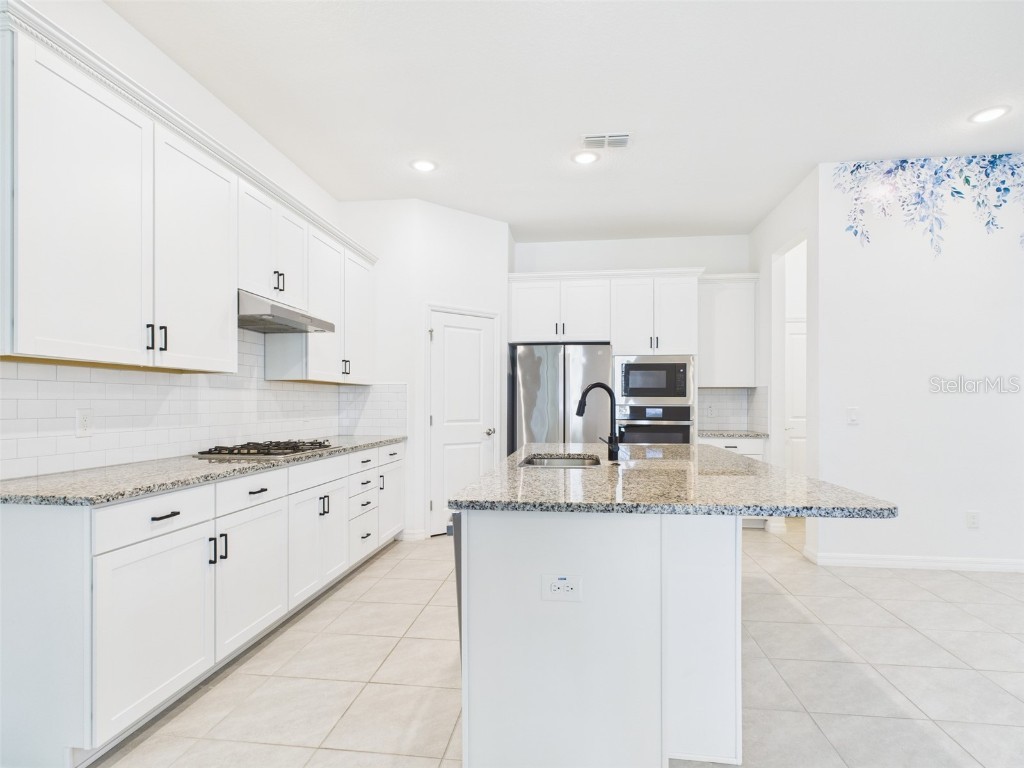 2033 Emerald Springs Drive Apopka FL 32712 P4937239 image13