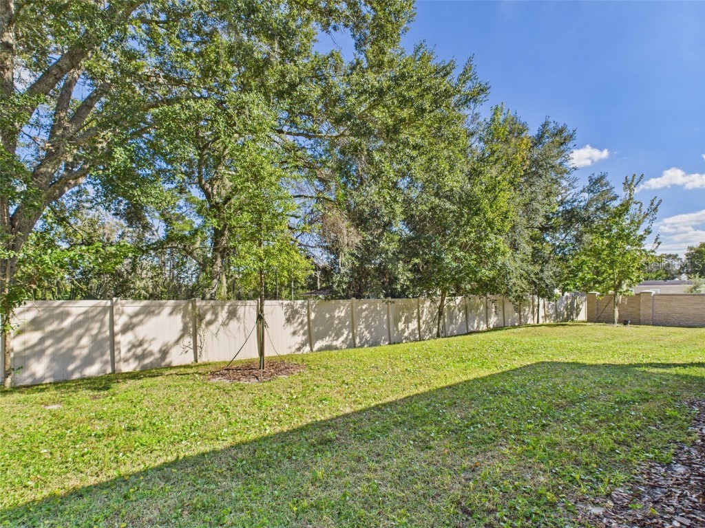 2033 Emerald Springs Drive Apopka FL 32712 P4937239 image43