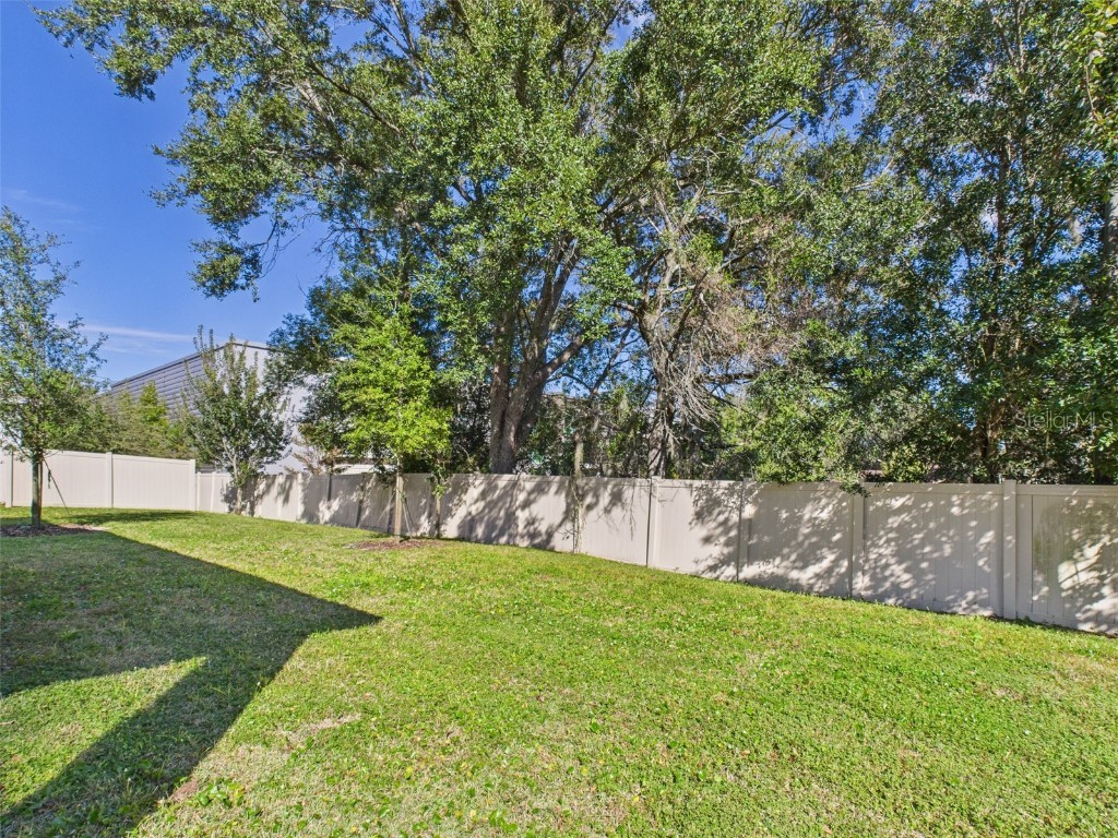 2033 Emerald Springs Drive Apopka FL 32712 P4937239 image44